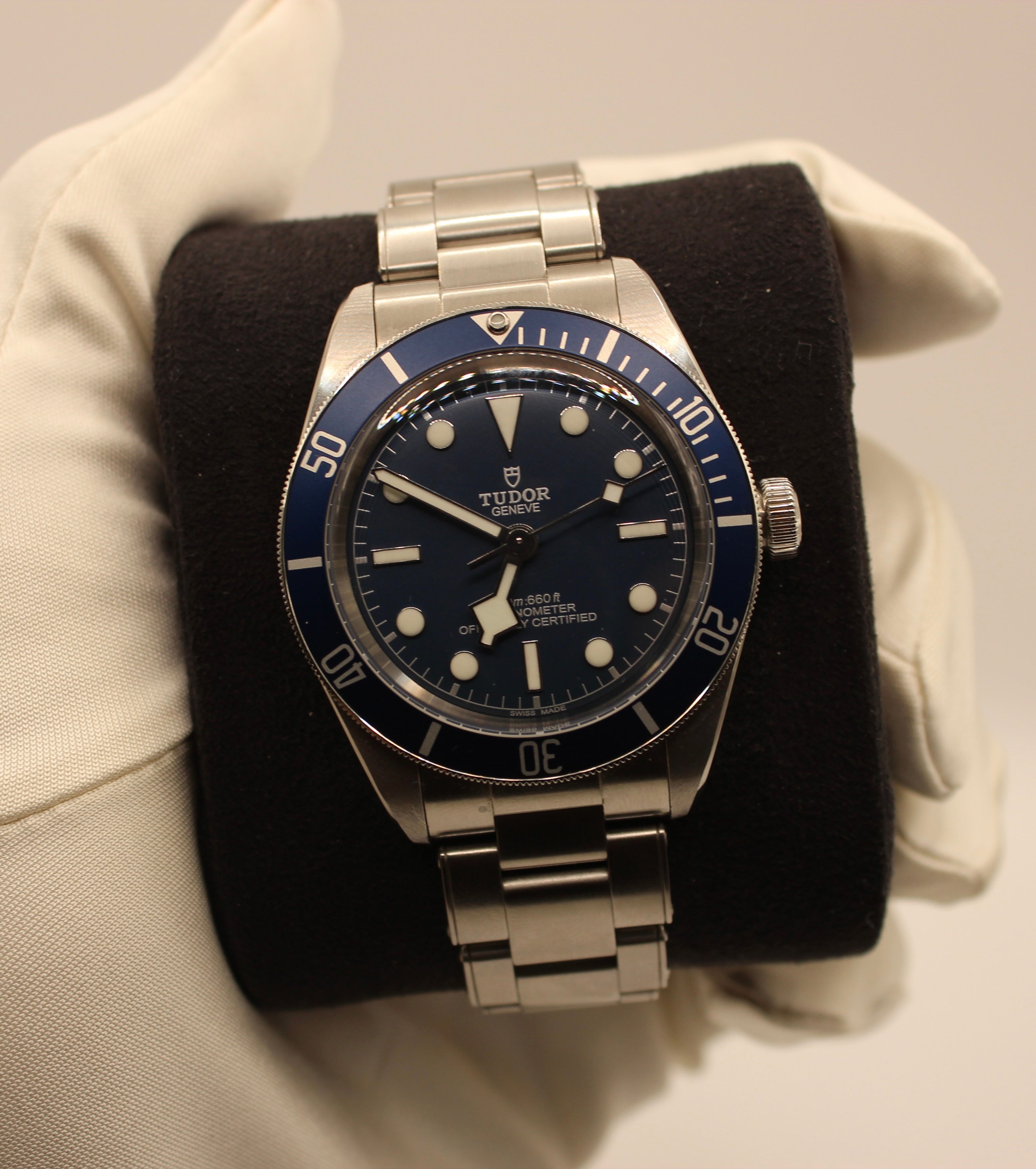 Tudor Black Bay