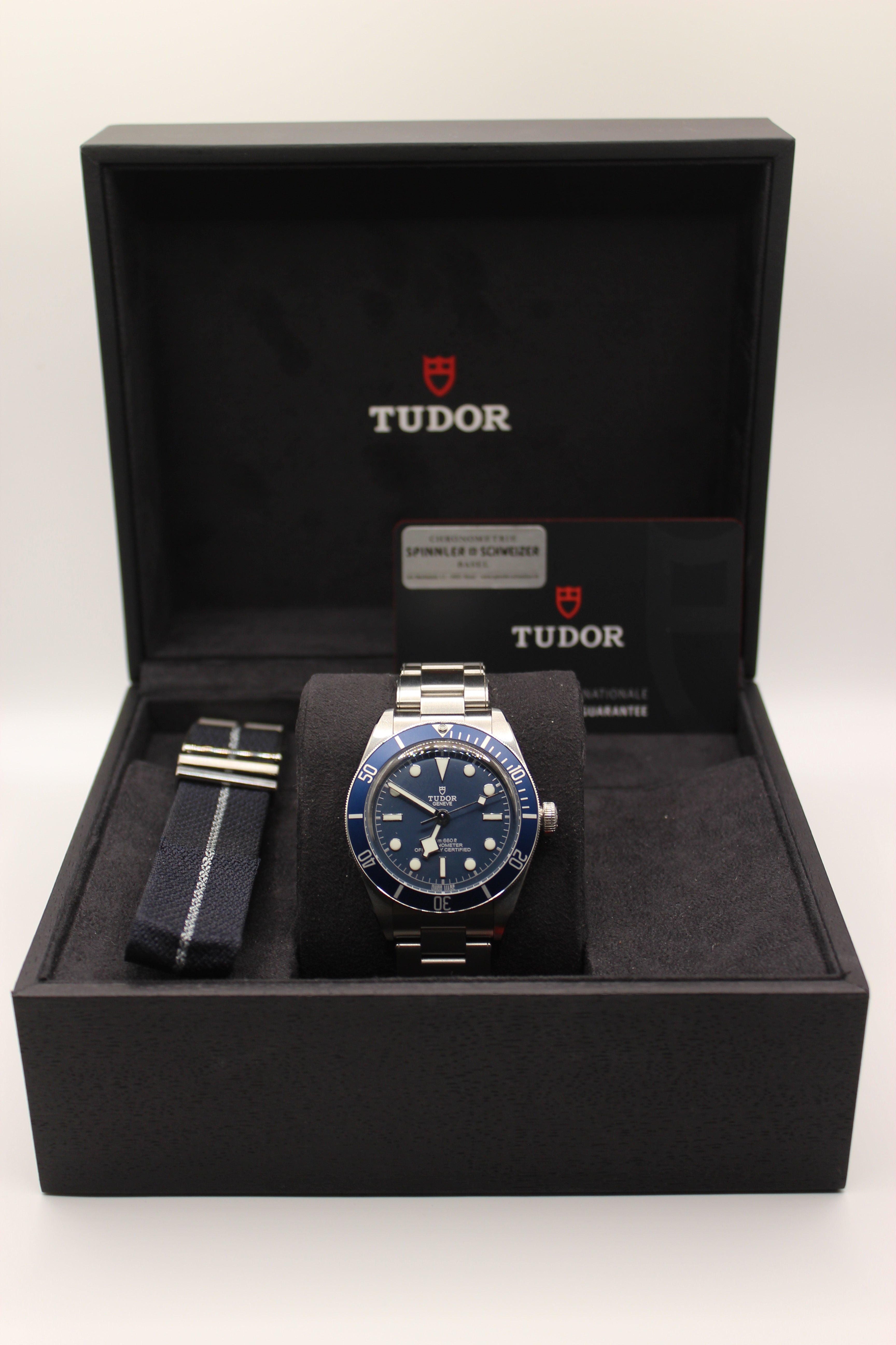 Tudor Black Bay